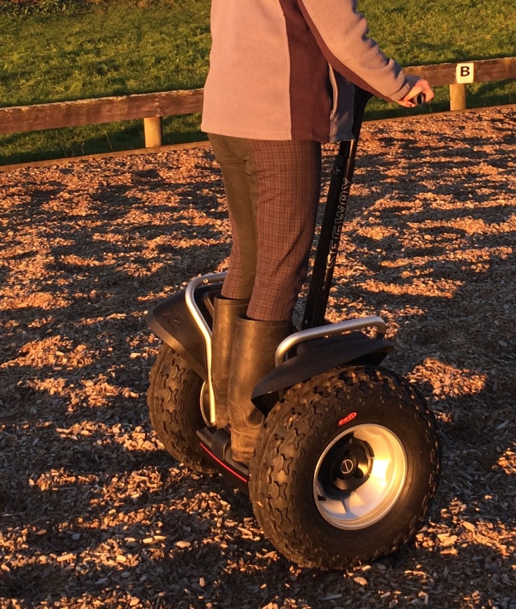 Segway x2 SE on a dressage arena that has wood chips on the surface